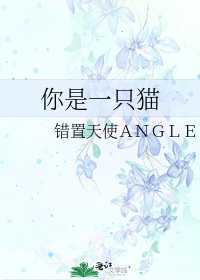 你是一只猫